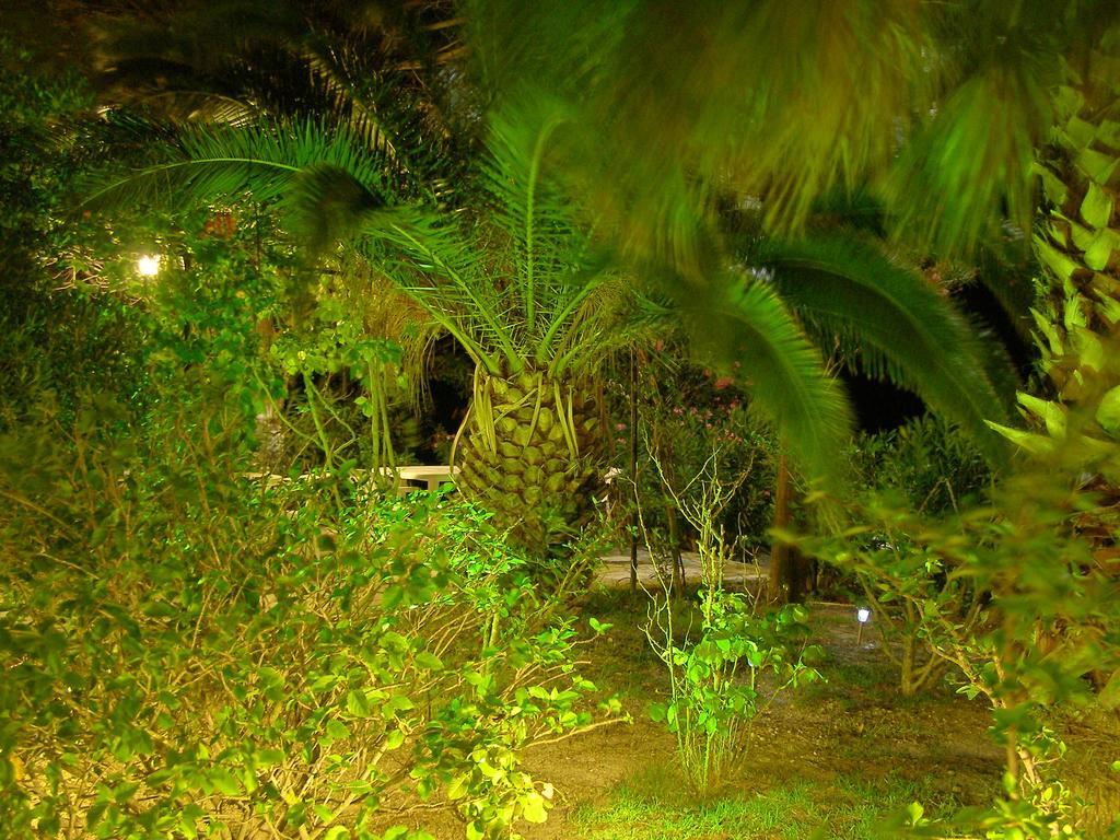 Polymnia Apartments Spartia  Luaran gambar